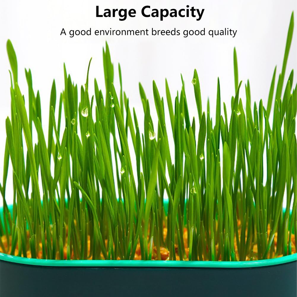 Cat Grass Planter Box, 3 Pcs Plastic Growing Trays U55952