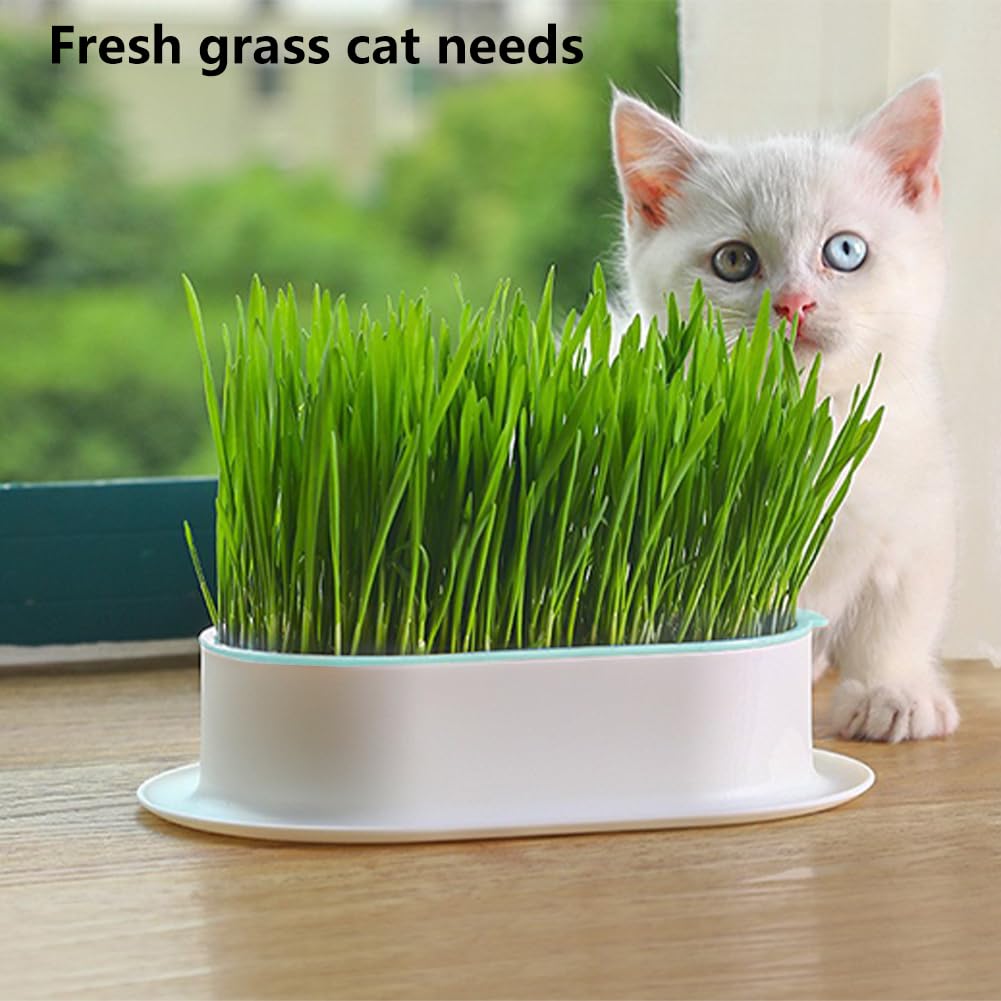 Cat Grass Planter Box, 3 Pcs Plastic Growing Trays U55952
