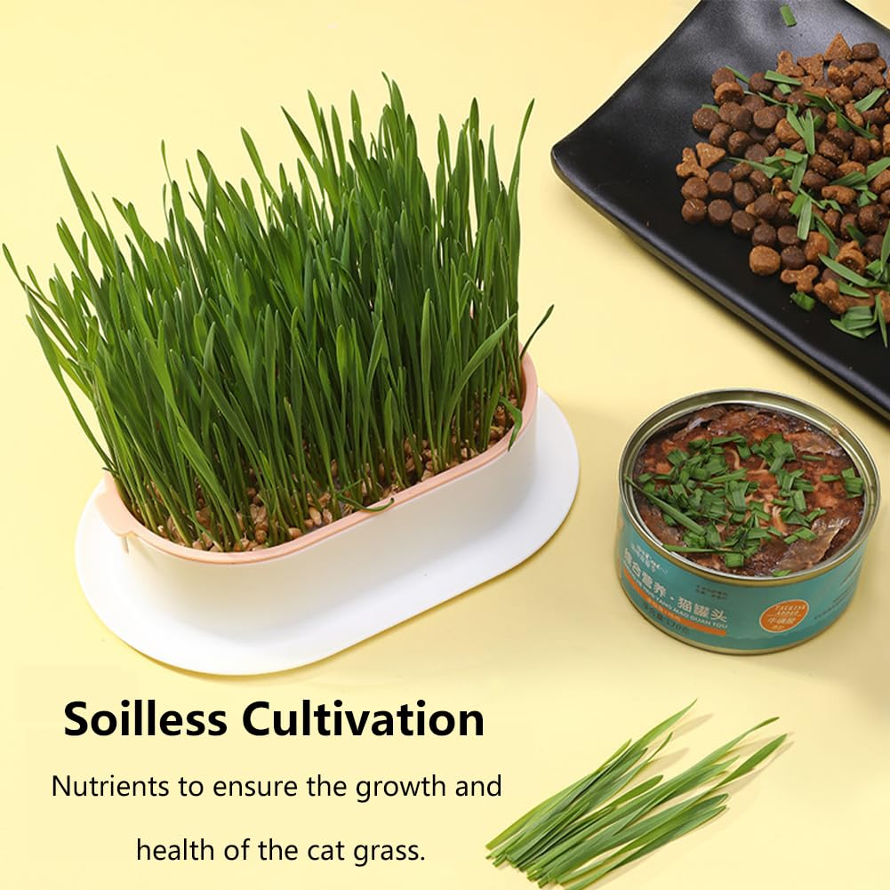 Cat Grass Planter Box, 3 Pcs Plastic Growing Trays U55952