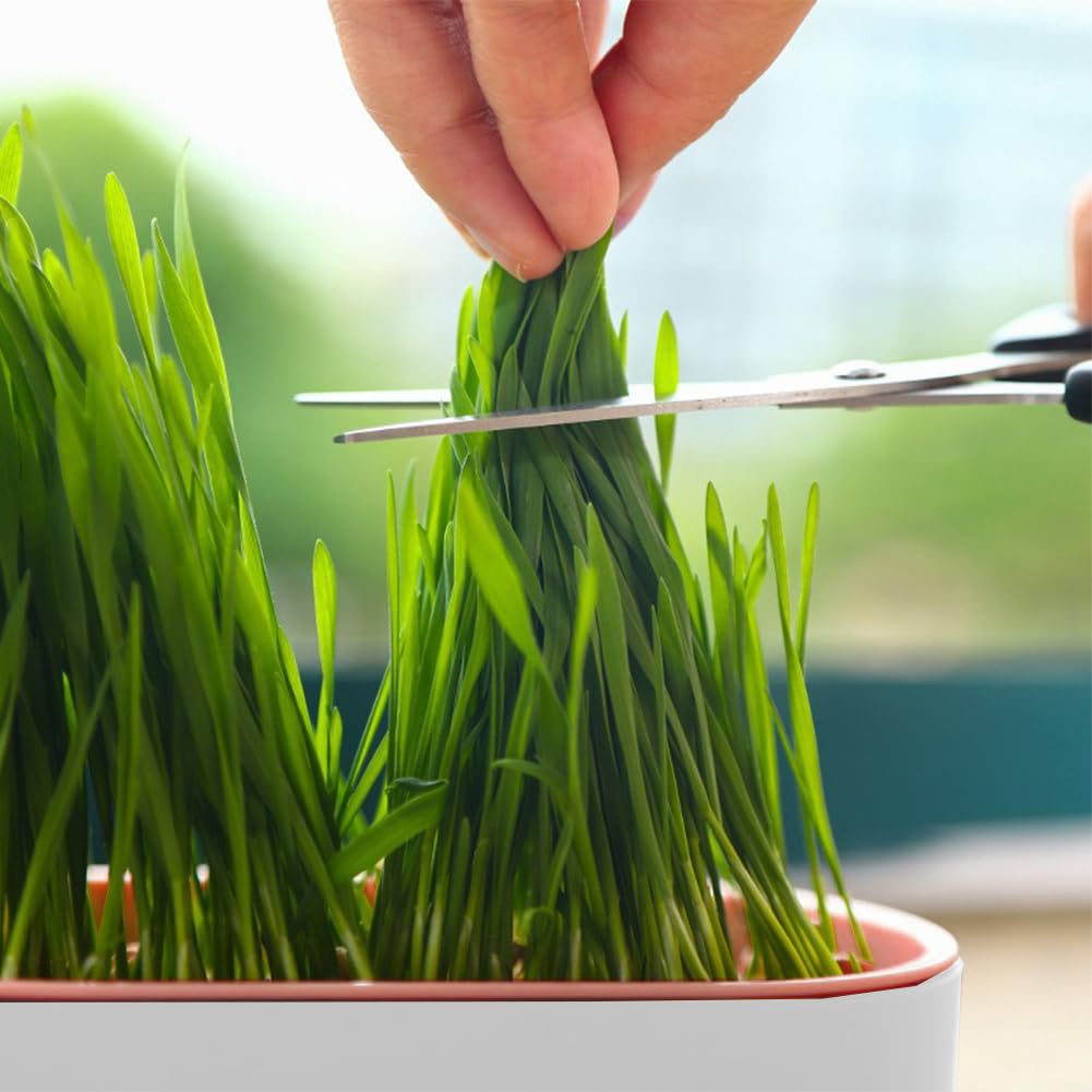 Cat Grass Planter Box, 3 Pcs Plastic Growing Trays U55952