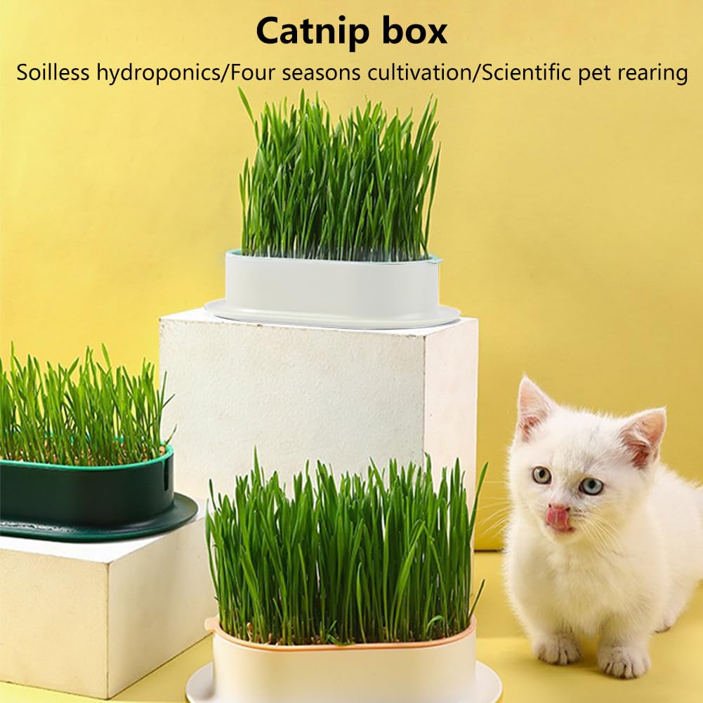 Cat Grass Planter Box, 3 Pcs Plastic Growing Trays U55952