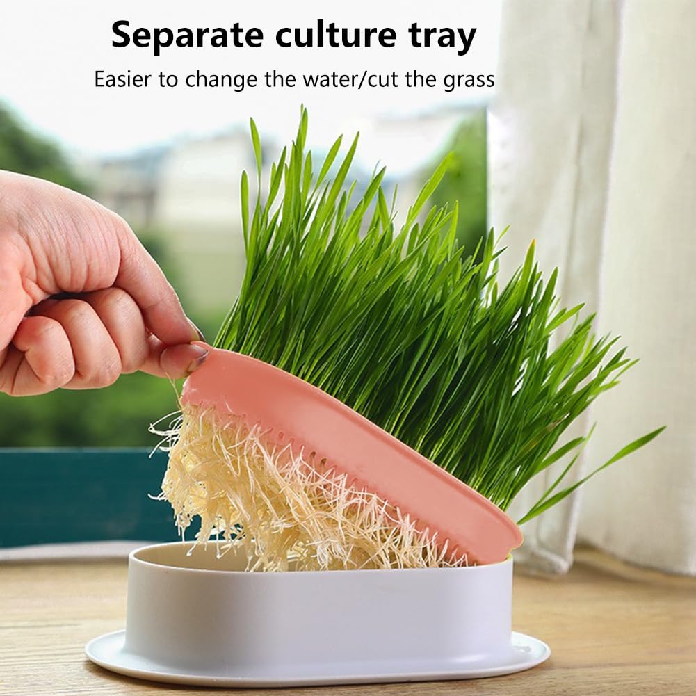 Cat Grass Planter Box, 3 Pcs Plastic Growing Trays U55952