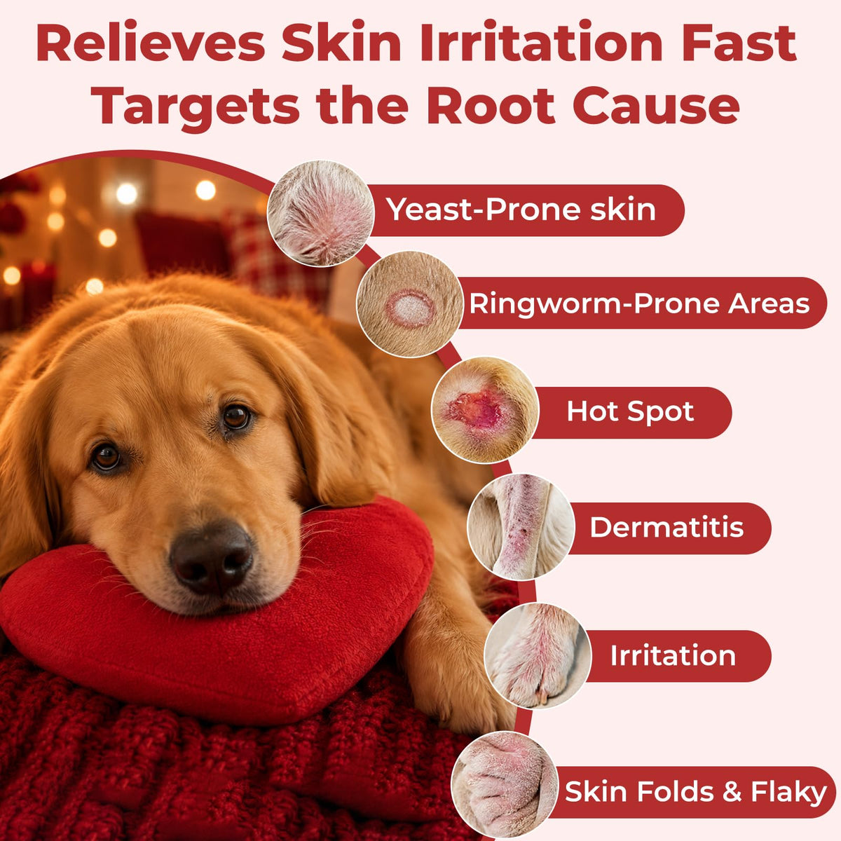 Dog Yeast Infection Treatment 4.23oz J922278