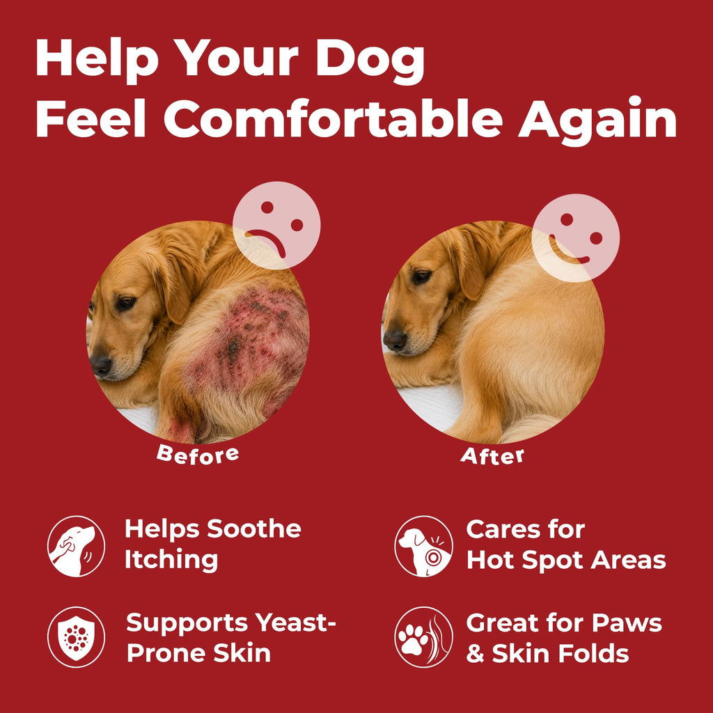 Dog Yeast Infection Treatment 4.23oz J922278