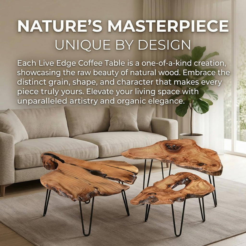 Live Edge Natural Wood Coffee Table B165