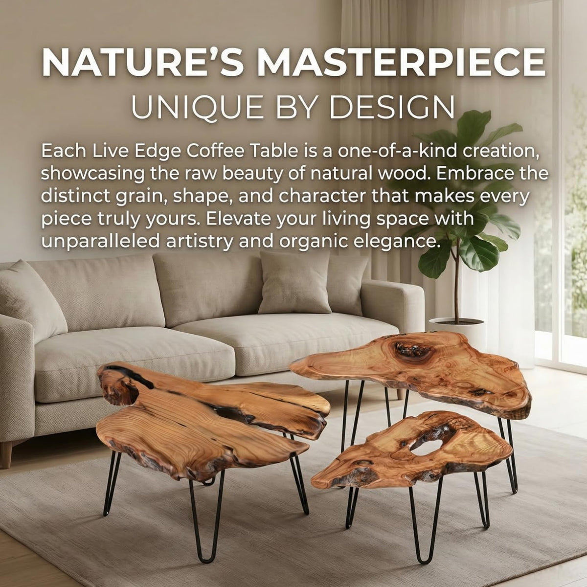 Live Edge Natural Wood Coffee Table B165