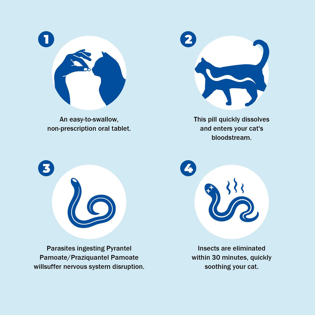 Pyrantel Pamoate Praziquantel Dewormer Tablets for Cats & Dogs H212458