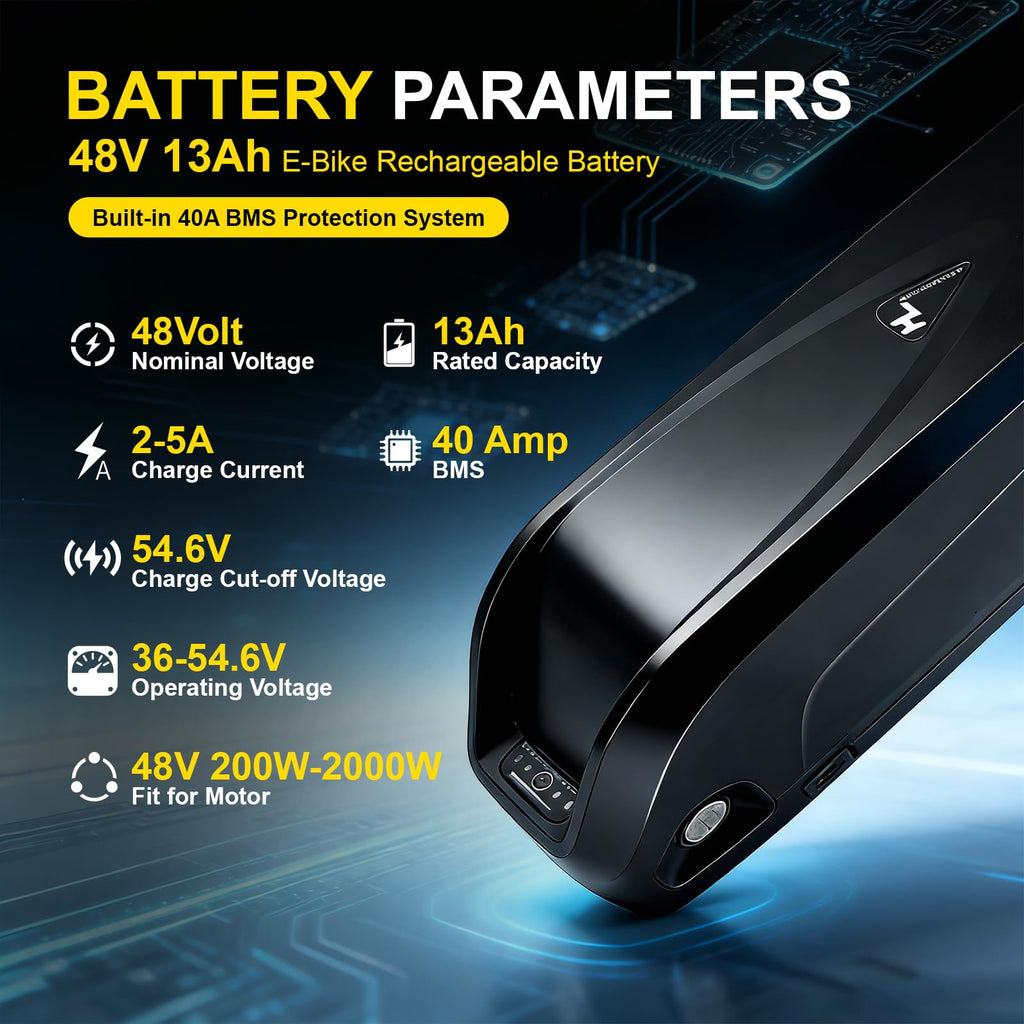 48V 13Ah Lithium Battery with 40A BMS E53492