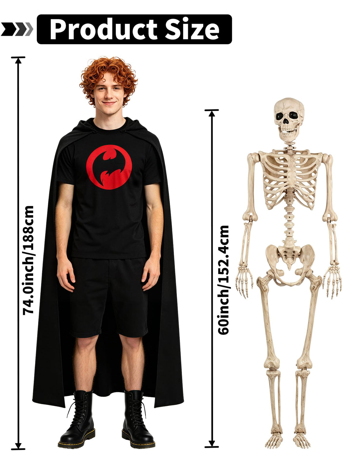 Life Size Posable Skeleton with Movable Joints Q8258