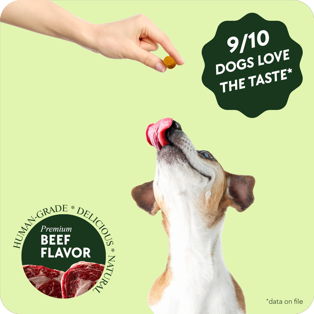 Chewable Flea and Tick Prevention for Dogs 120 Chews Beef O31744