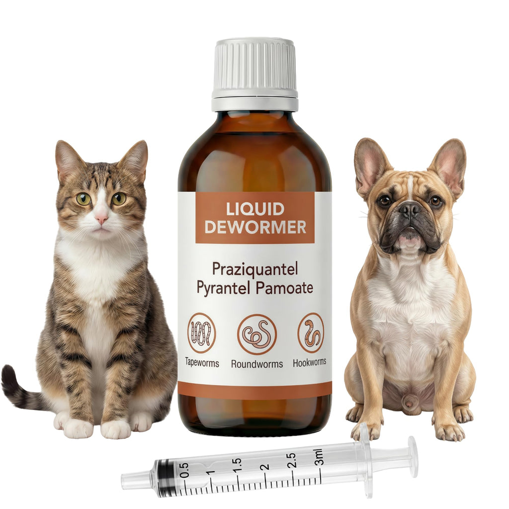 Praziquantel & Pyrantel Liquid Dewormer for Dog and Cat 3.4 fl oz F670875