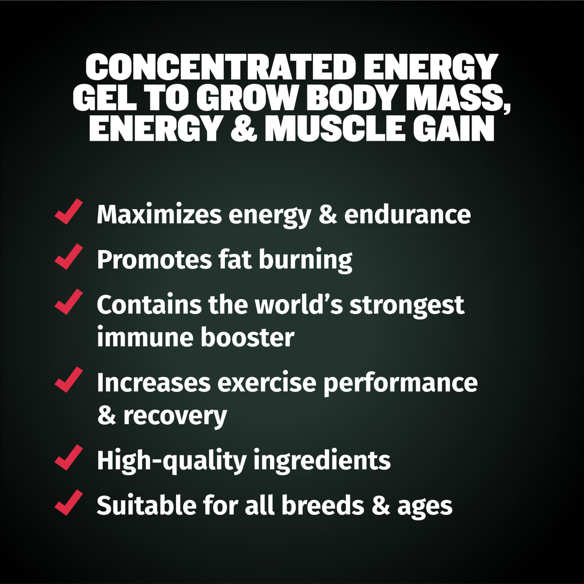 Liquid Muscle Builder & Weight Gainer Soft Chews L217