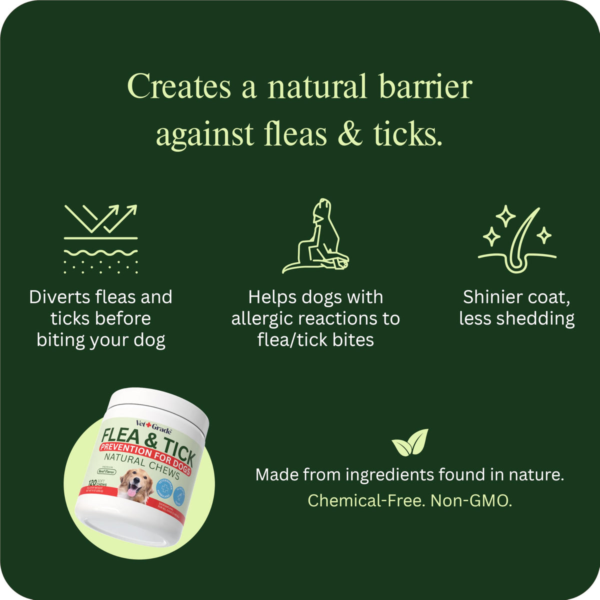 Chewable Flea and Tick Prevention for Dogs 120 Chews Beef O31744