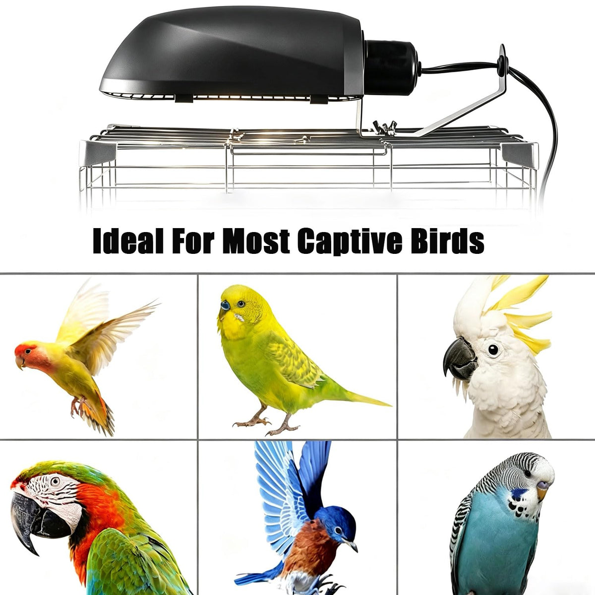Bird Cage Light Fixture Combo Kit with Bulb N175335