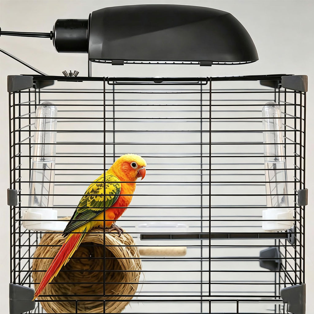 Bird Cage Light Fixture Combo Kit with Bulb N175335