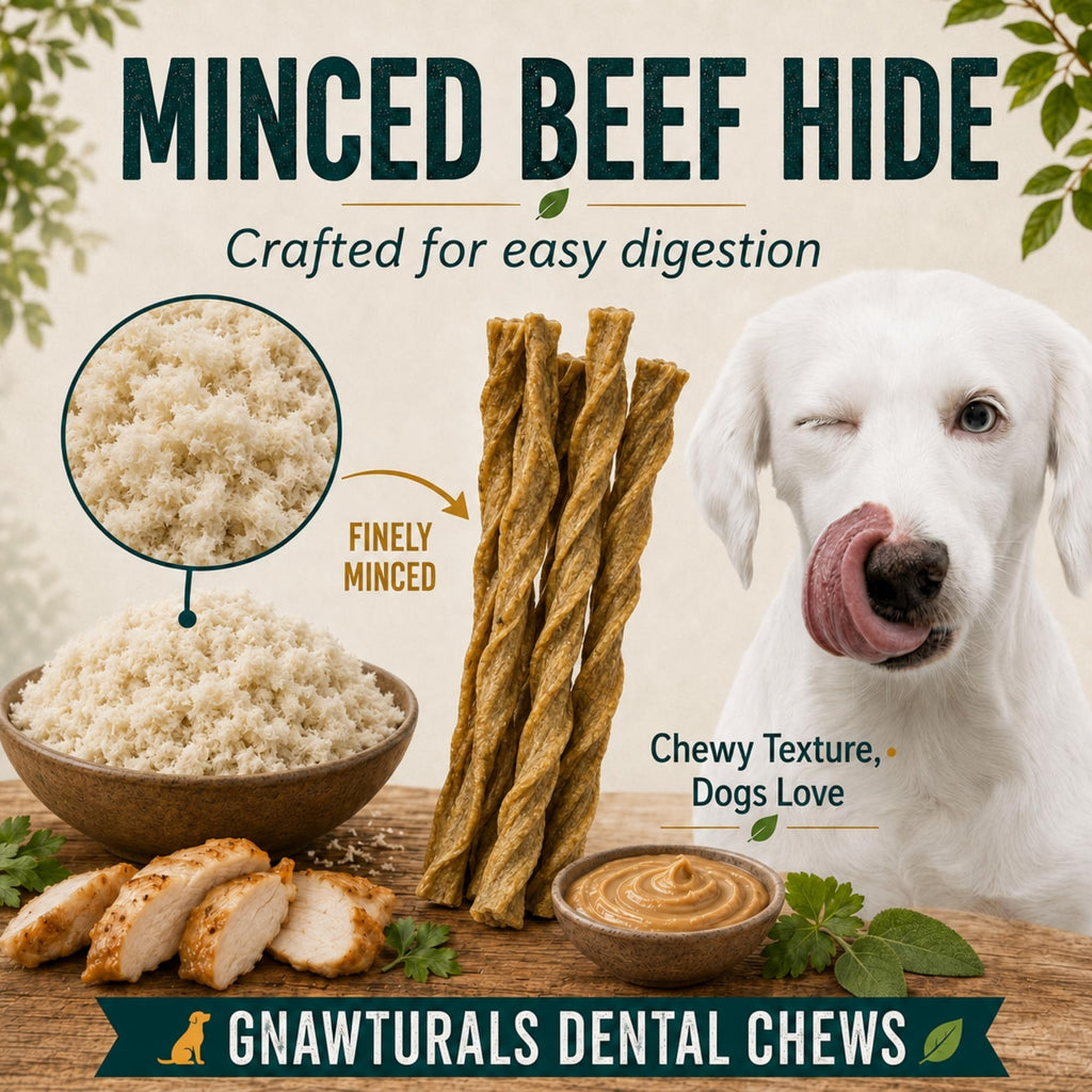 Twisted Sticks Dental Chews for Dogs (5 Sticks, Pumpkin) T2592
