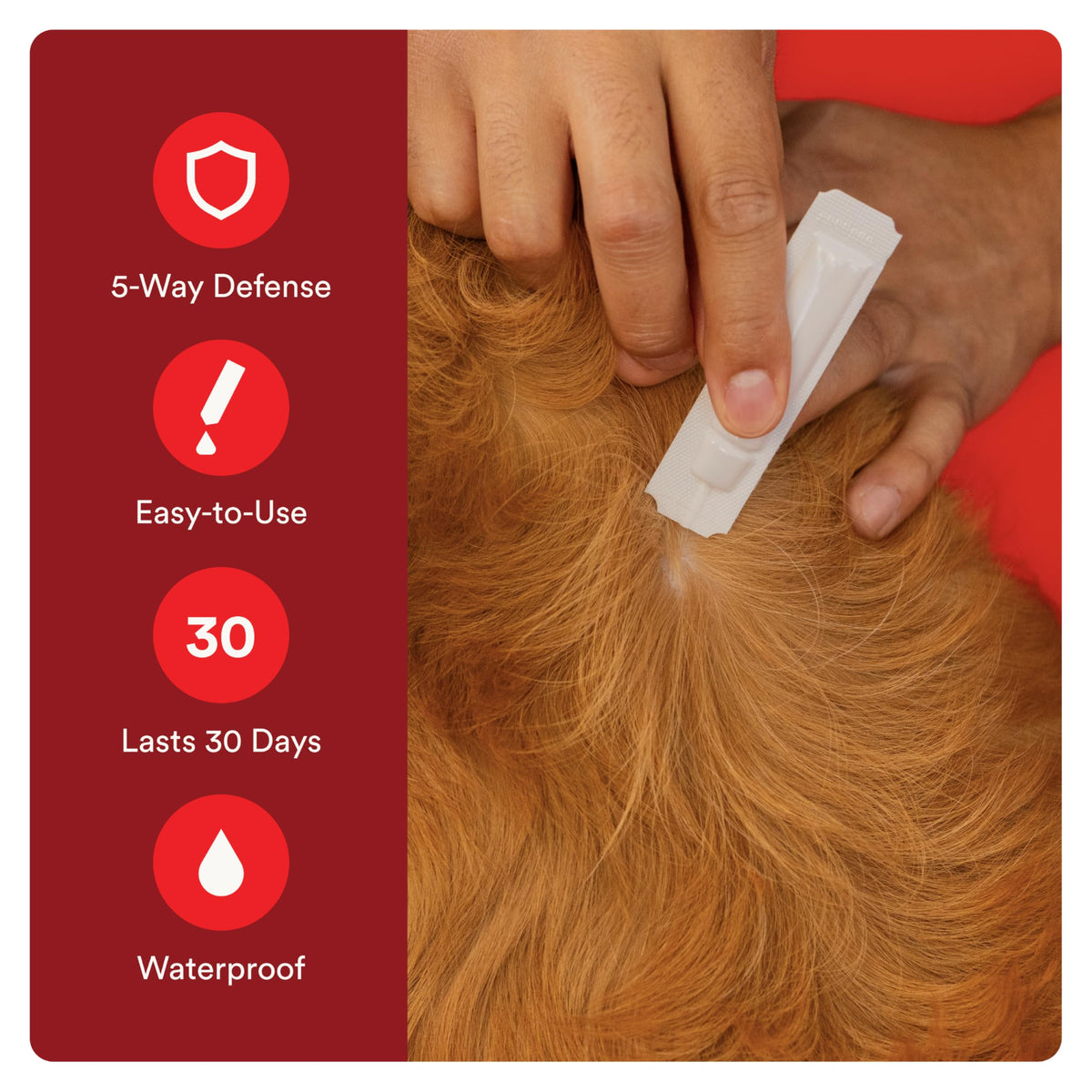 Flea and Tick Prevention for Small Dogs 4-10 lbs (4 Doses) + Flea Treatment for Dogs 2-25 lbs (6 Doses) Bundle H87745