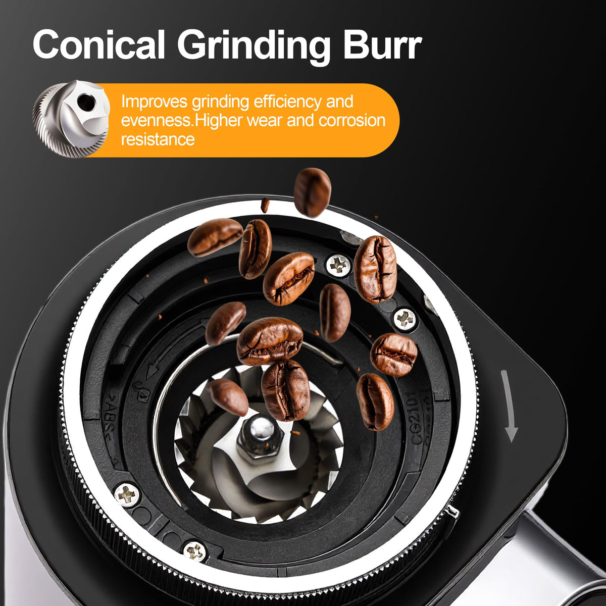 Conical Burr Coffee Grinder W30356