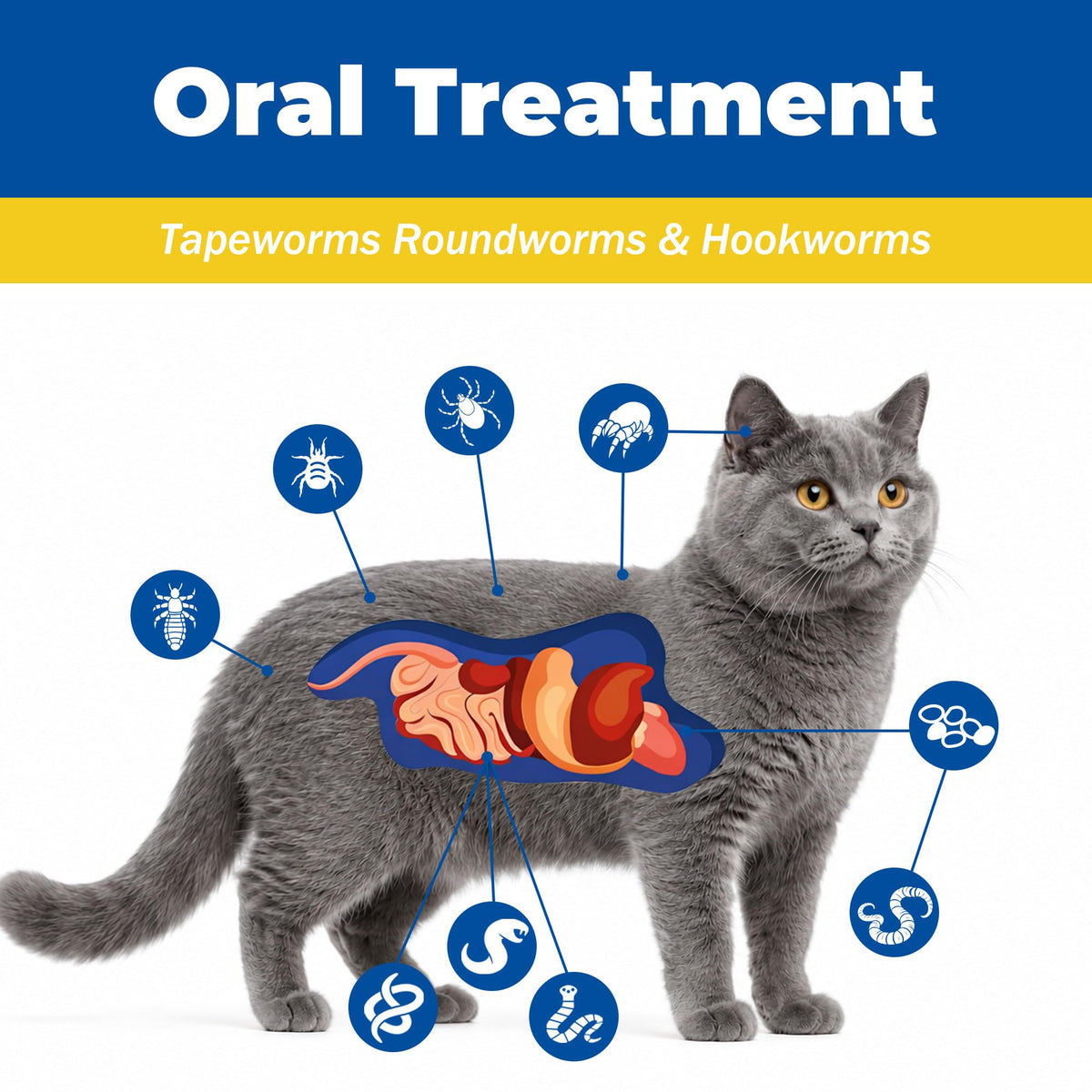 Pyrantel Pamoate Praziquantel Dewormer Tablets for Cats & Dogs H212458