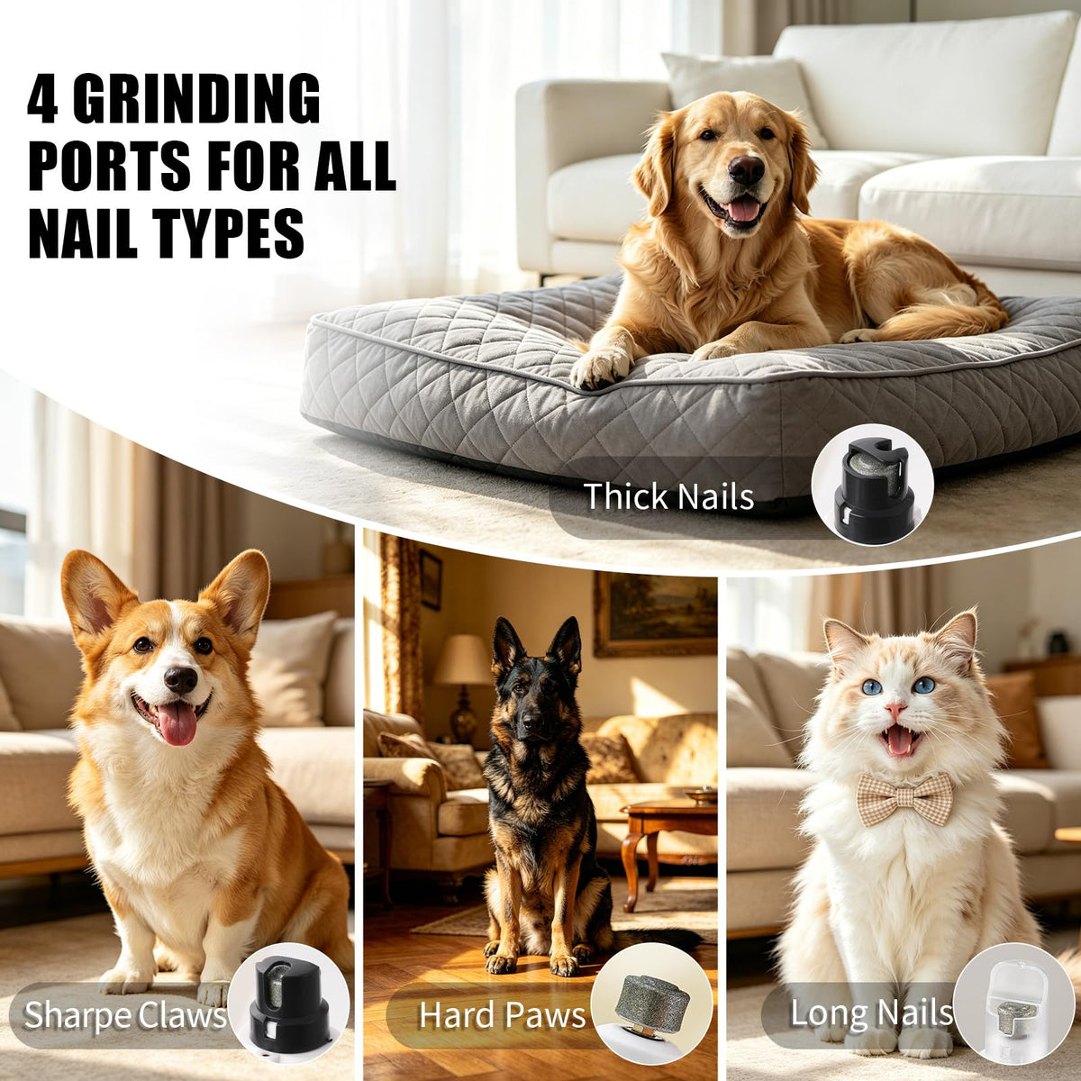 Dog Nail Grinder with LCD Screen, 6 Speeds, 4 Grinding Heads Z421