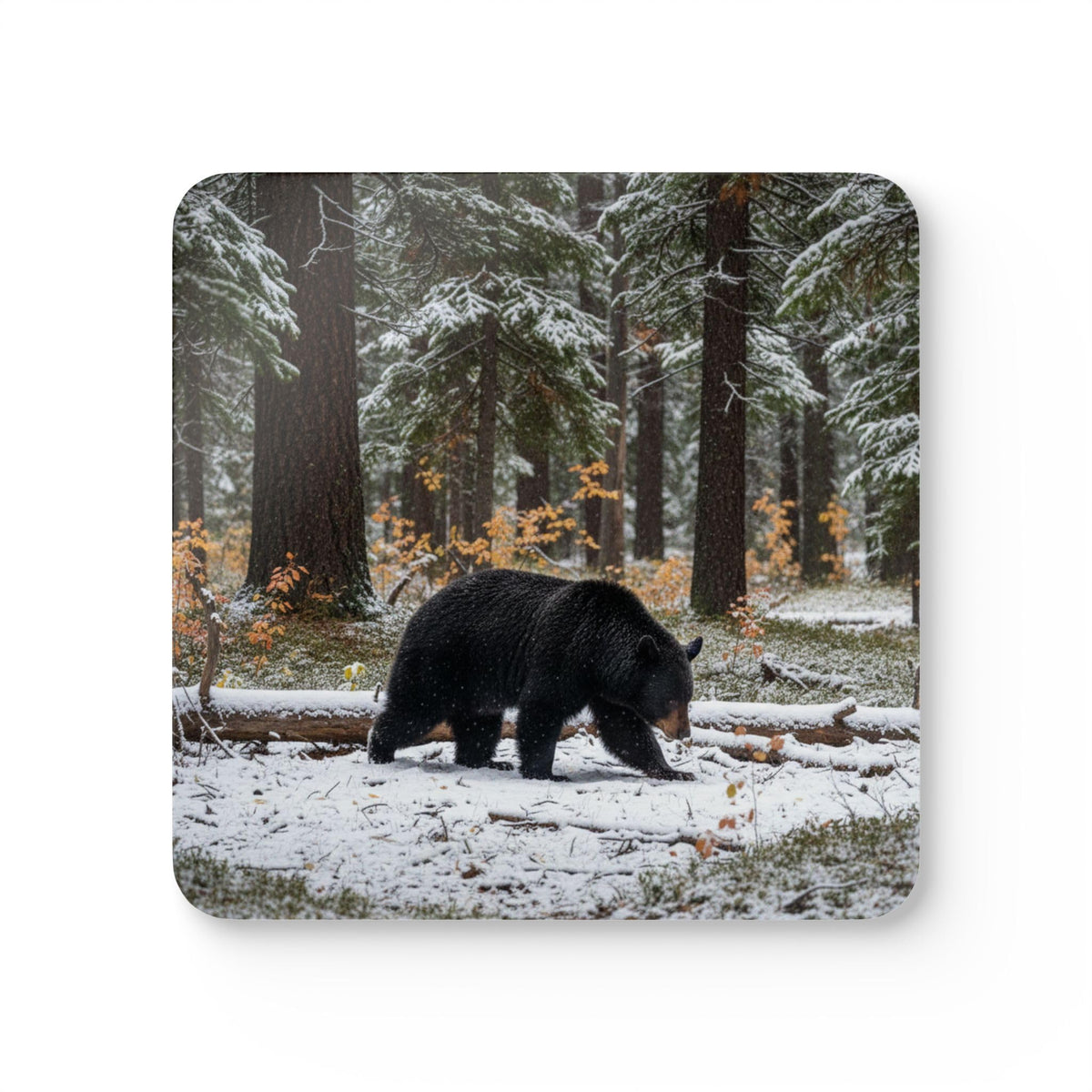 Set of 4 Coasters L99057