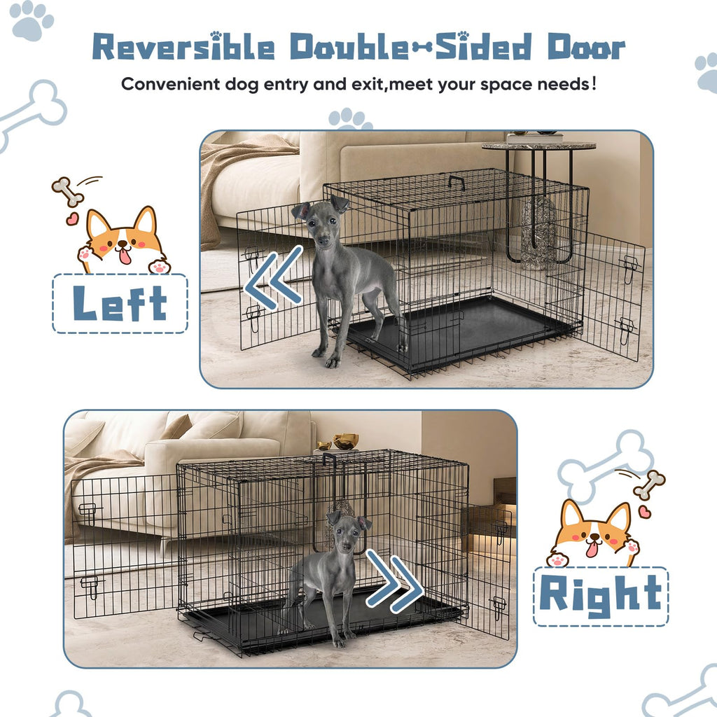 48 Inch Foldable Dog Crate H172