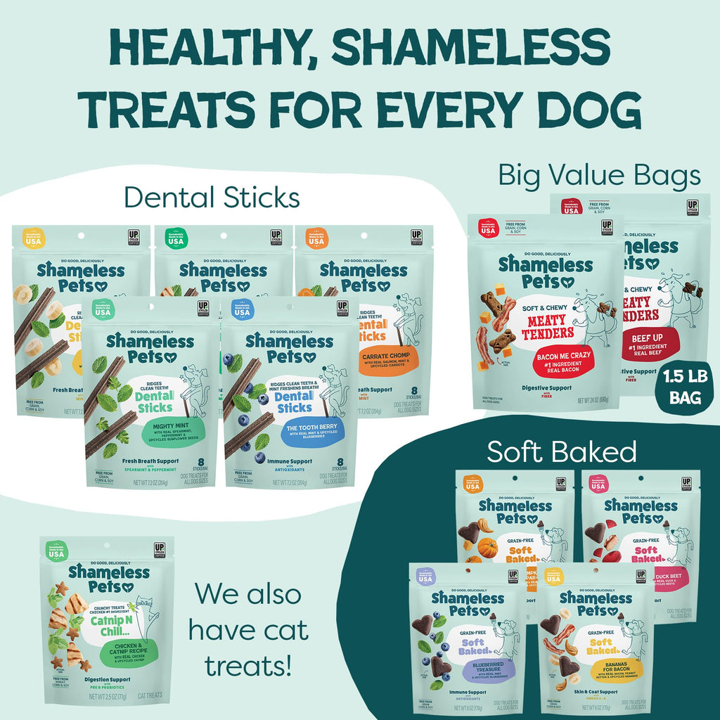 Soft Dog Treats 8oz S9163