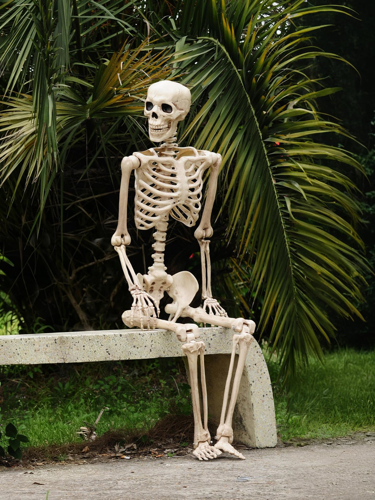 Life Size Posable Skeleton with Movable Joints Q8258