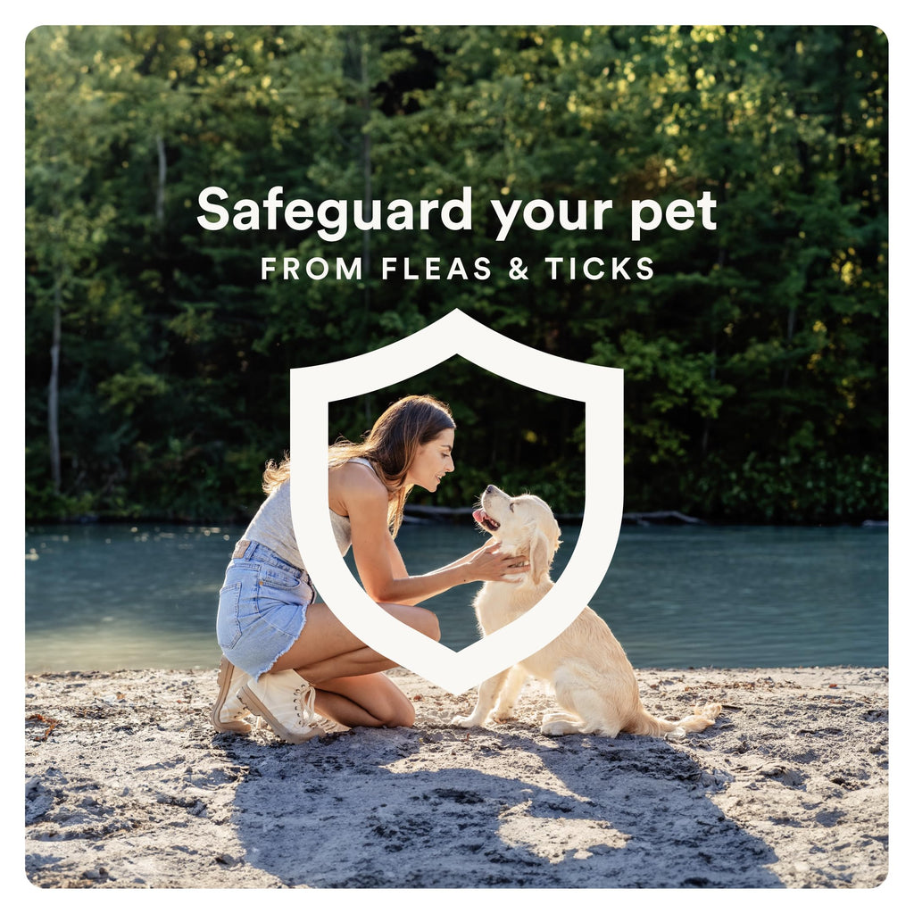 Flea and Tick Prevention for Small Dogs 4-10 lbs (4 Doses) + Flea Treatment for Dogs 2-25 lbs (6 Doses) Bundle H87745