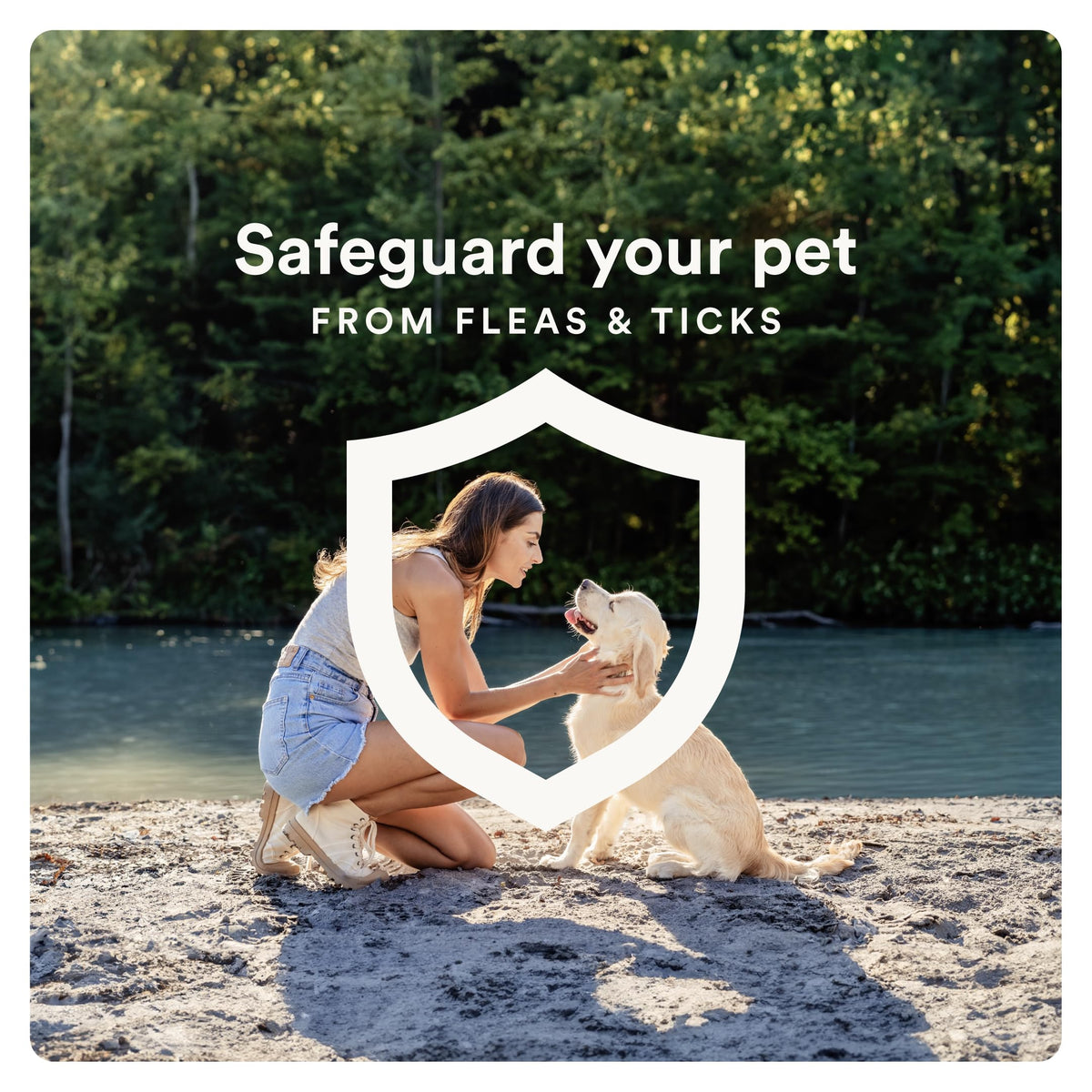 Flea and Tick Prevention for Small Dogs 4-10 lbs (4 Doses) + Flea Treatment for Dogs 2-25 lbs (6 Doses) Bundle H87745