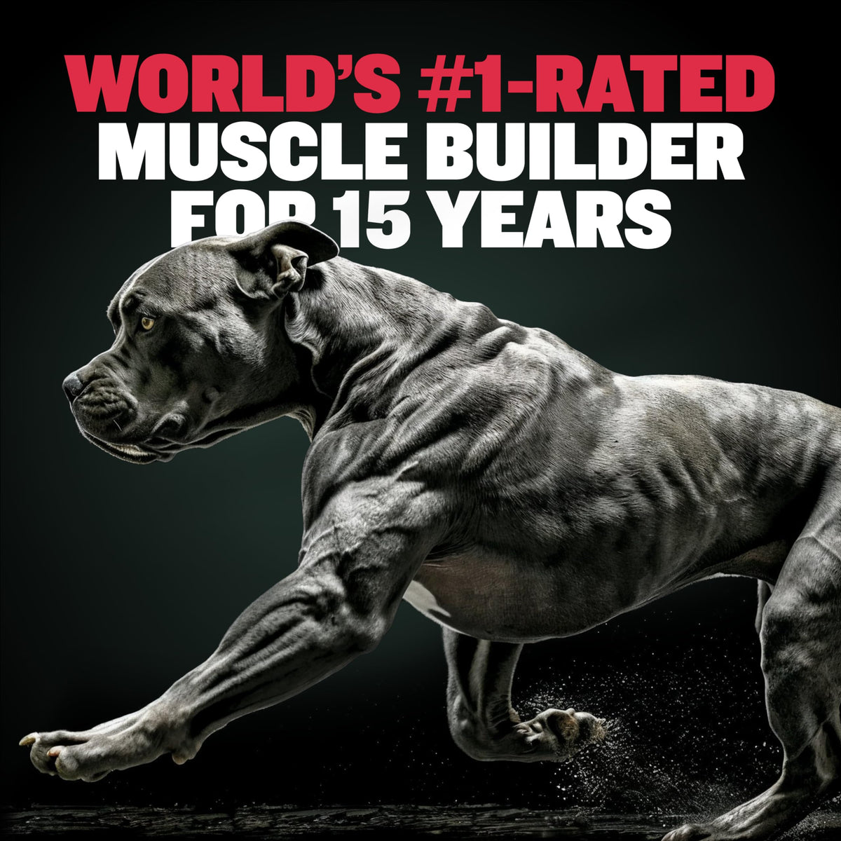 Liquid Muscle Builder & Weight Gainer Soft Chews L217