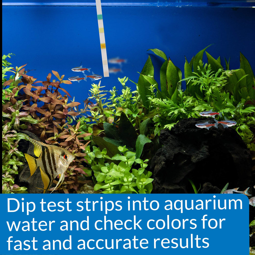5-in-1 Aquarium Test Strips 4-Count O424018
