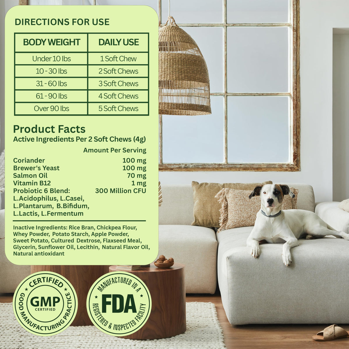 Chewable Flea and Tick Prevention for Dogs 120 Chews Beef O31744
